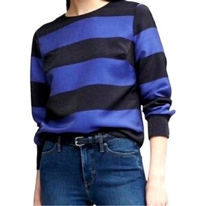 Banana Republic Small Shimmer Blue & Black Stripe Long Sleeve Evening Blouse